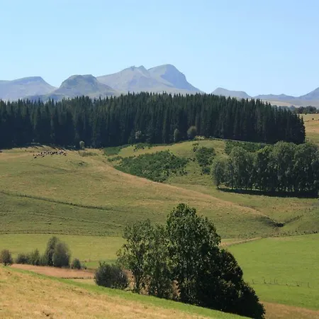 Отель De La Petite Ferme, Super-besse Est, The Originals Relais 3*